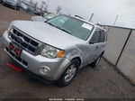 2009 Ford Escape Xlt Silver vin: 1FMCU03769KD06756