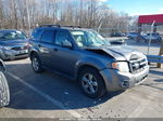 2009 Ford Escape Xlt Gray vin: 1FMCU03779KA14422