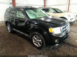 2009 Ford Escape Xlt Black vin: 1FMCU03779KD01615