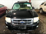 2009 Ford Escape Xlt Черный vin: 1FMCU03779KD01615