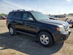 2009 Ford Escape Xlt Black vin: 1FMCU03789KA22688