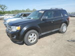 2009 Ford Escape Xlt Black vin: 1FMCU03789KA22688