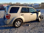 2009 Ford Escape Xlt Кремовый vin: 1FMCU03789KB28106