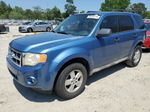 2009 Ford Escape Xlt Blue vin: 1FMCU03789KB64698