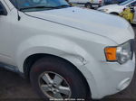 2009 Ford Escape Xlt White vin: 1FMCU03799KA25874