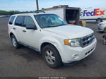 2009 Ford Escape Xlt White vin: 1FMCU03799KA25874