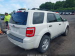 2009 Ford Escape Xlt White vin: 1FMCU03799KA25874