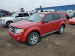 2009 Ford Escape Xlt Red vin: 1FMCU03799KB21293