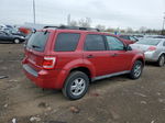 2009 Ford Escape Xlt Red vin: 1FMCU03799KB21293