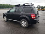 2009 Ford Escape Xlt Черный vin: 1FMCU03799KC31826