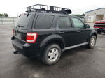 2009 Ford Escape Xlt Black vin: 1FMCU03799KC31826