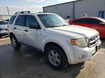 2009 Ford Escape Xlt White vin: 1FMCU037X9KA92175