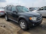 2009 Ford Escape Xlt Черный vin: 1FMCU037X9KA92970