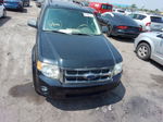 2009 Ford Escape Xlt Black vin: 1FMCU037X9KA92970