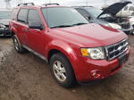 2009 Ford Escape Xlt Red vin: 1FMCU037X9KC11469