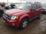 2009 Ford Escape Xlt Red vin: 1FMCU037X9KC11469