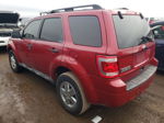2009 Ford Escape Xlt Red vin: 1FMCU037X9KC11469