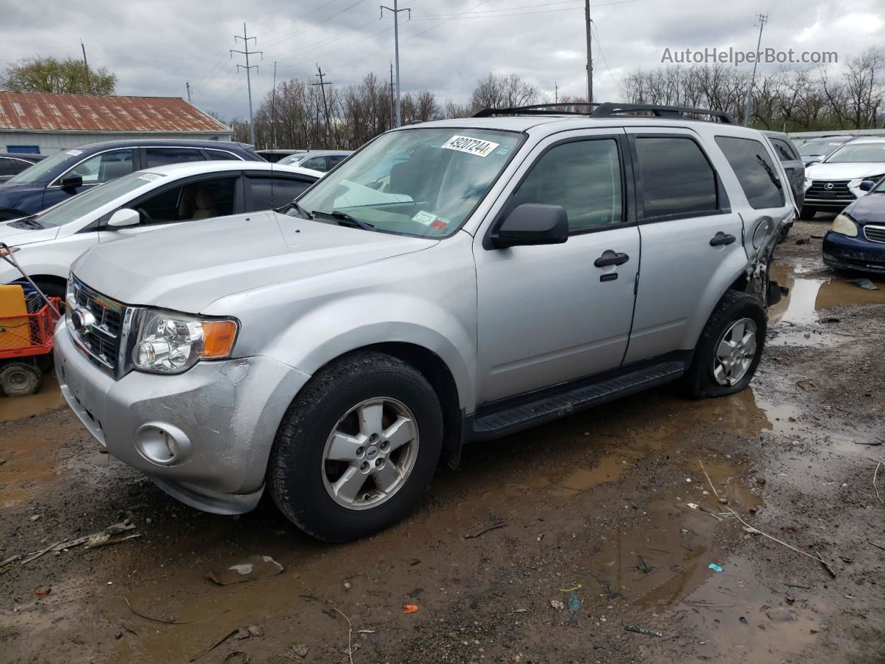 2009 Ford Escape Xlt Silver vin: 1FMCU037X9KC86107