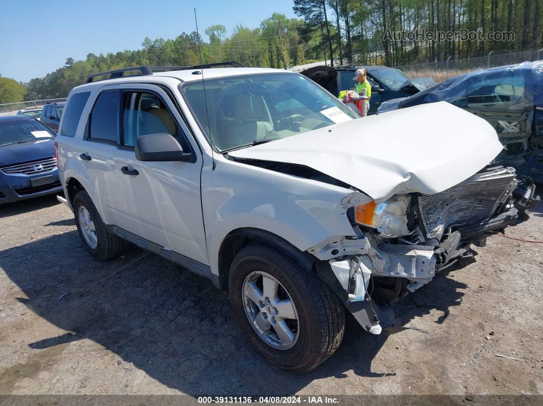 2009 Ford Escape Xlt White vin: 1FMCU037X9KC99827