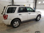 2009 Ford Escape Xlt White vin: 1FMCU037X9KD04749