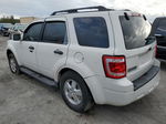 2009 Ford Escape Xlt Белый vin: 1FMCU03G09KA10275