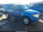 2009 Ford Escape Xlt Синий vin: 1FMCU03G09KA34589