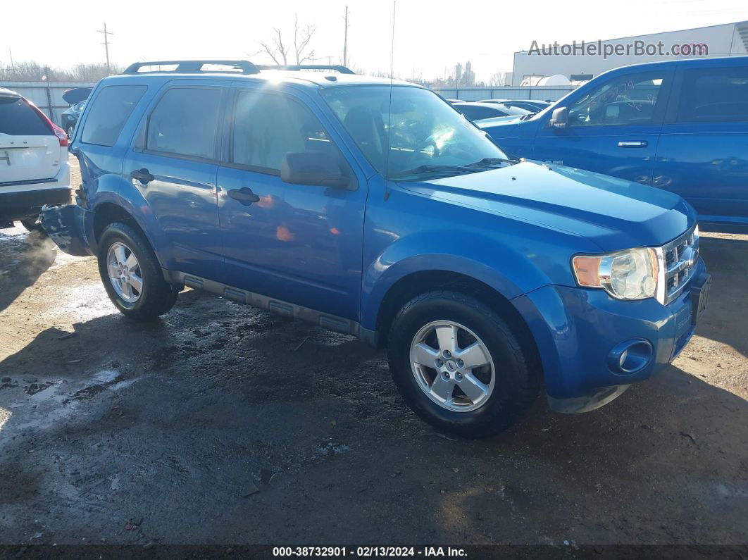 2009 Ford Escape Xlt Blue vin: 1FMCU03G09KA34589