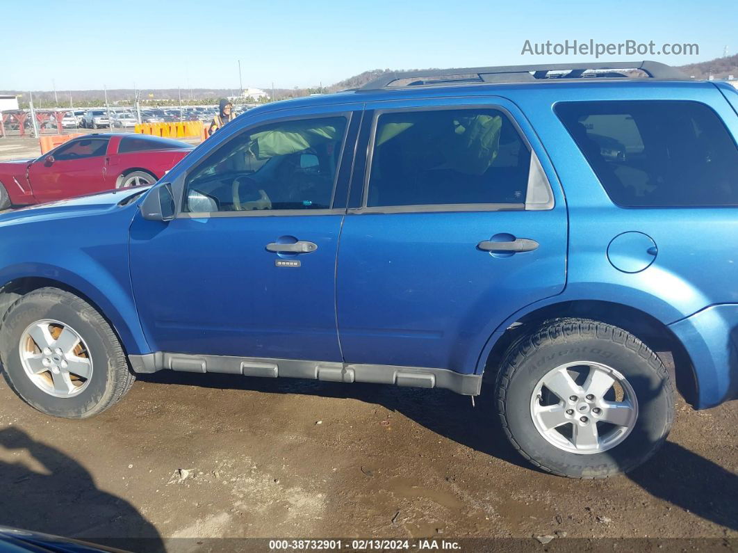 2009 Ford Escape Xlt Синий vin: 1FMCU03G09KA34589