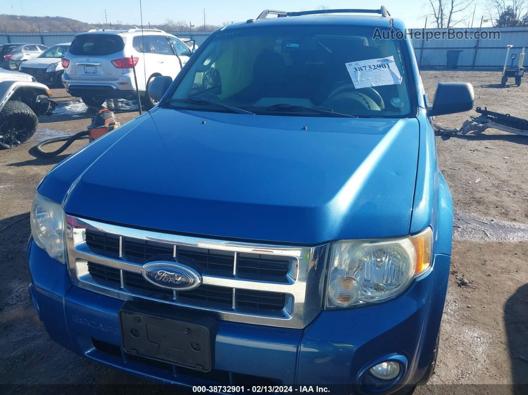 2009 Ford Escape Xlt Blue vin: 1FMCU03G09KA34589