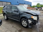 2009 Ford Escape Xlt Gray vin: 1FMCU03G09KA36942