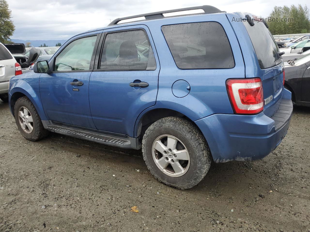 2009 Ford Escape Xlt Синий vin: 1FMCU03G09KA51988