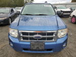 2009 Ford Escape Xlt Blue vin: 1FMCU03G09KA51988