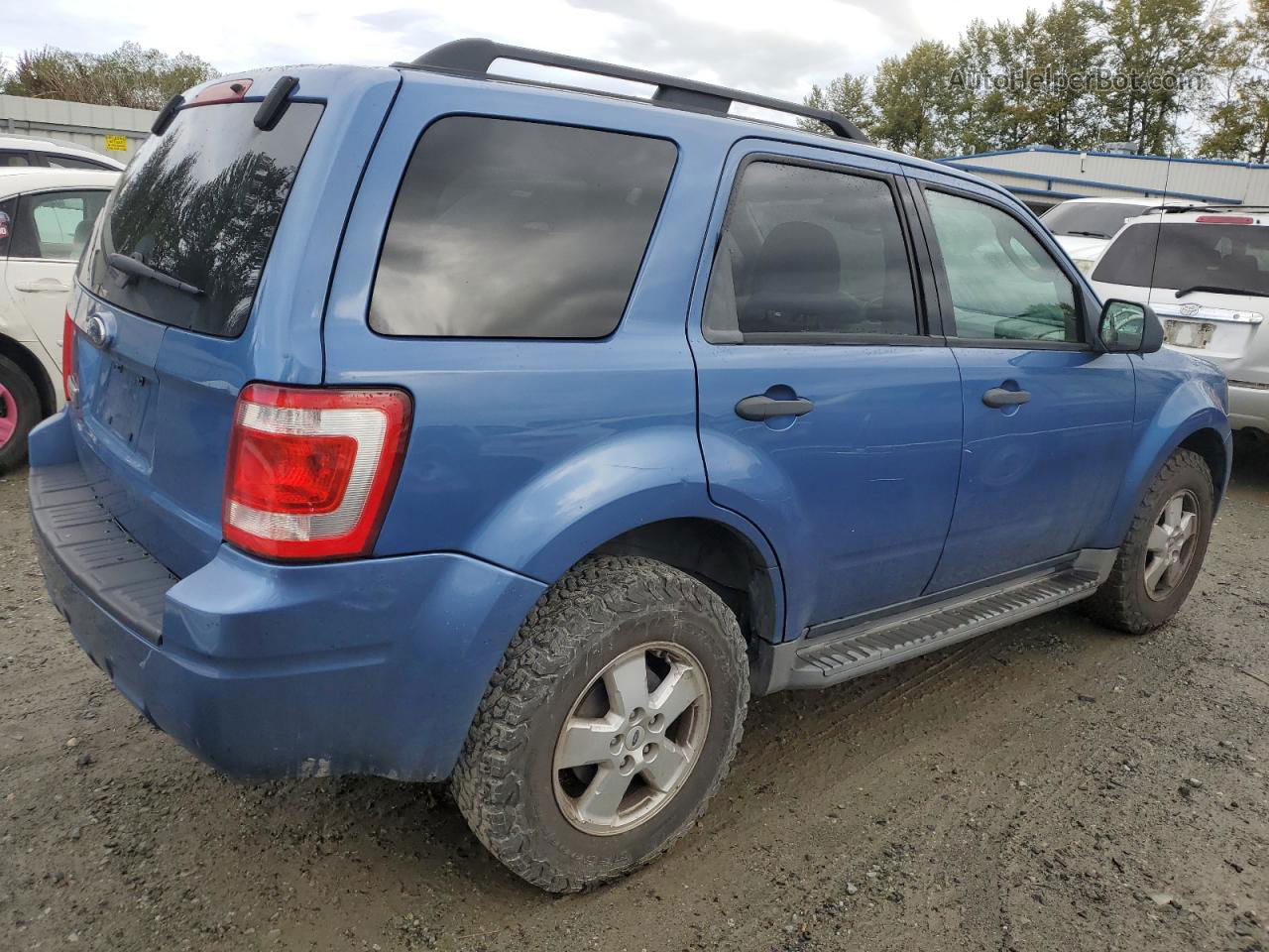 2009 Ford Escape Xlt Blue vin: 1FMCU03G09KA51988