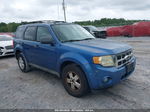 2009 Ford Escape Xlt Blue vin: 1FMCU03G19KA53779