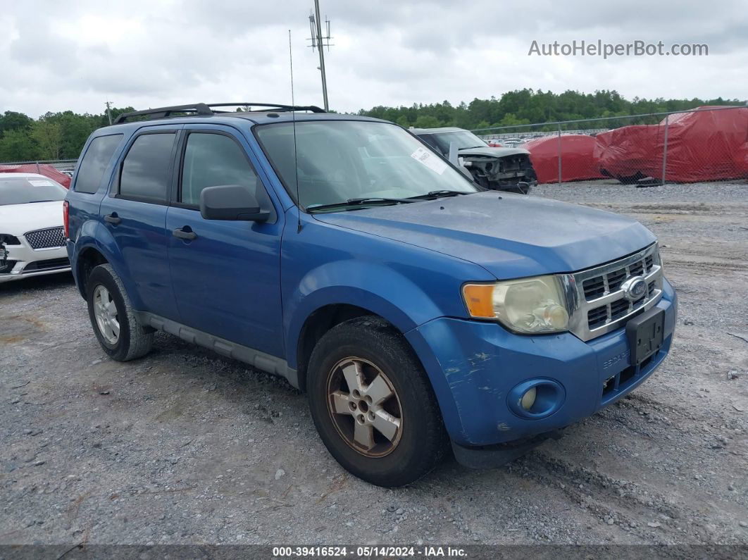 2009 Ford Escape Xlt Blue vin: 1FMCU03G19KA53779