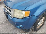 2009 Ford Escape Xlt Blue vin: 1FMCU03G19KA53779