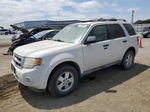 2009 Ford Escape Xlt White vin: 1FMCU03G19KA92548