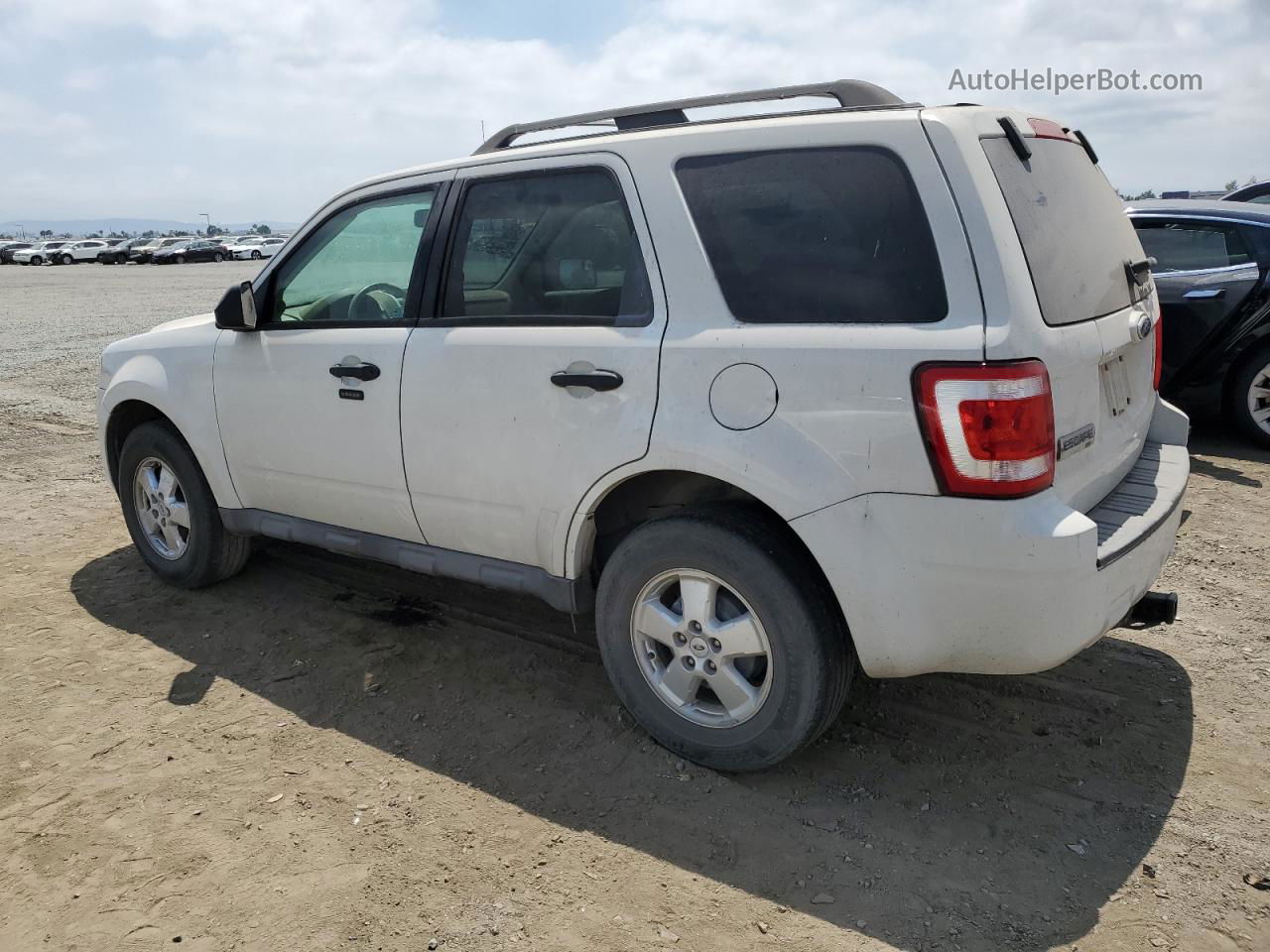 2009 Ford Escape Xlt White vin: 1FMCU03G19KA92548