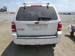 2009 Ford Escape Xlt White vin: 1FMCU03G19KA92548