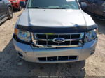 2009 Ford Escape Xlt Silver vin: 1FMCU03G19KB94903