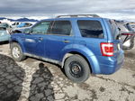 2009 Ford Escape Xlt Blue vin: 1FMCU03G19KD11654