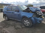 2009 Ford Escape Xlt Blue vin: 1FMCU03G19KD11654