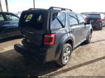 2009 Ford Escape Xlt Gray vin: 1FMCU03G29KA27109