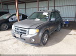 2009 Ford Escape Xlt Gray vin: 1FMCU03G29KA27109