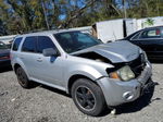 2009 Ford Escape Xlt Silver vin: 1FMCU03G29KB30532