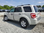 2009 Ford Escape Xlt Cream vin: 1FMCU03G29KB94795