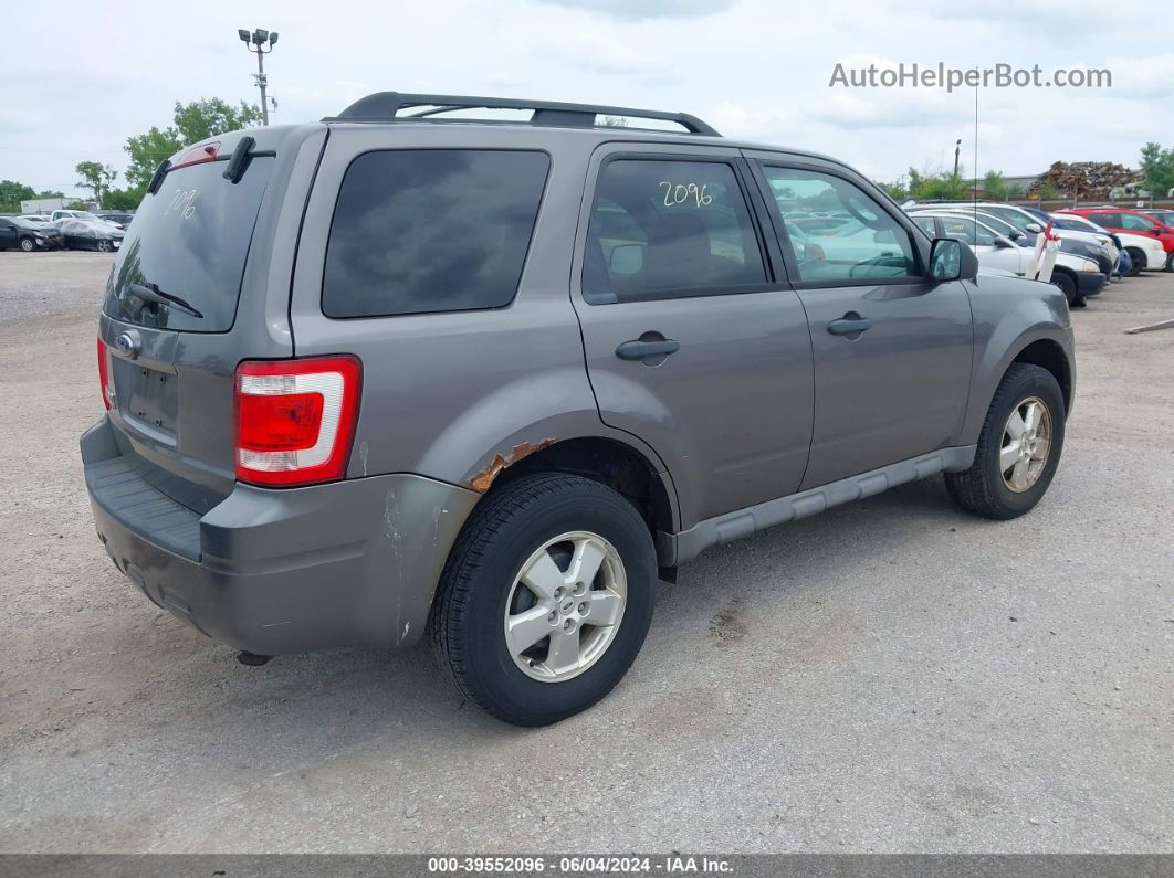 2009 Ford Escape Xlt Beige vin: 1FMCU03G29KC34812