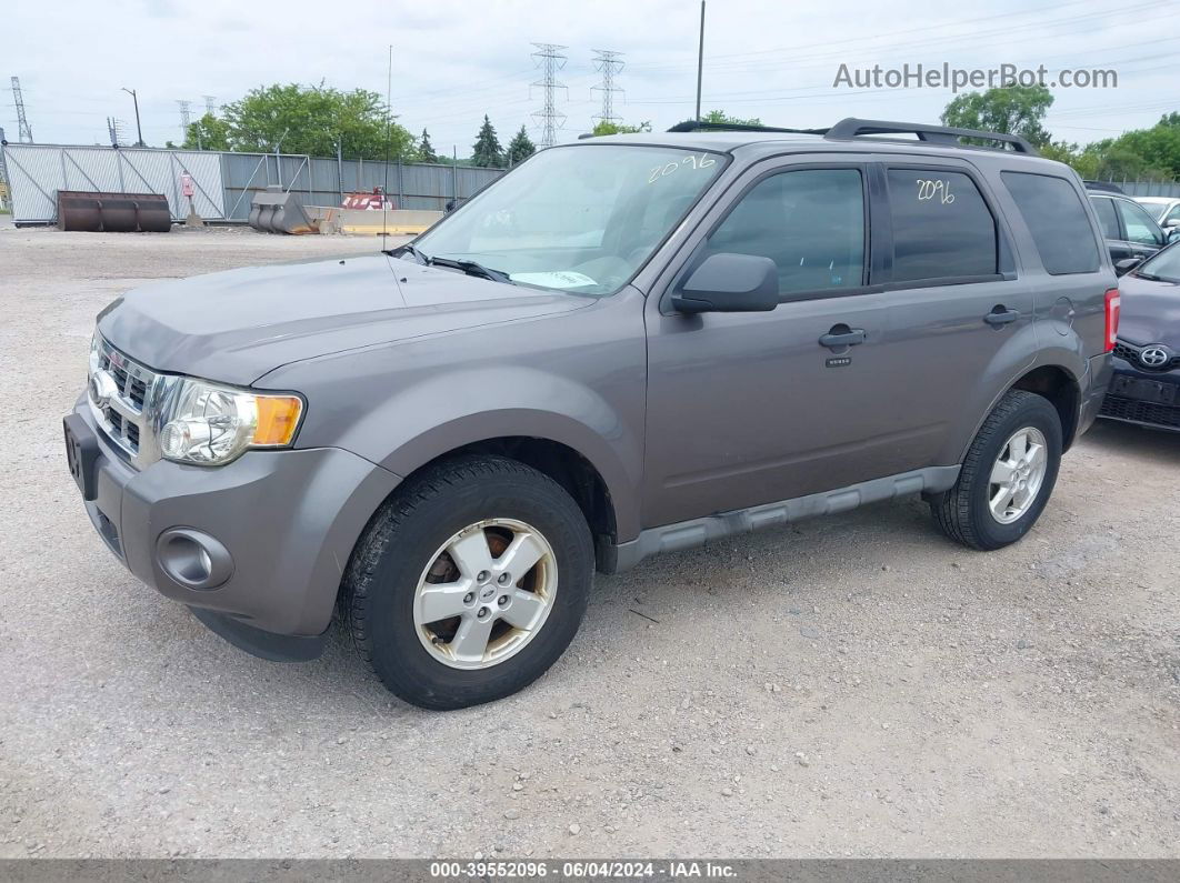 2009 Ford Escape Xlt Beige vin: 1FMCU03G29KC34812