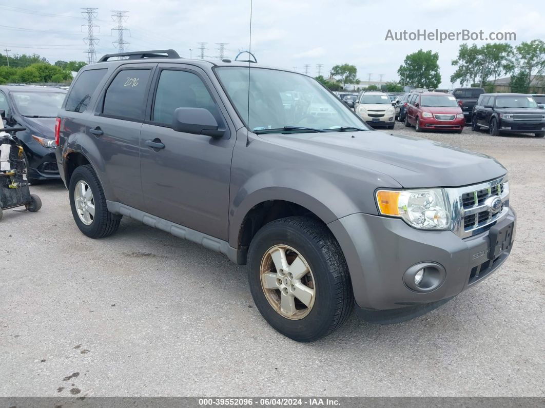 2009 Ford Escape Xlt Beige vin: 1FMCU03G29KC34812