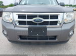 2009 Ford Escape Xlt Beige vin: 1FMCU03G29KC34812